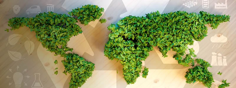 A green event