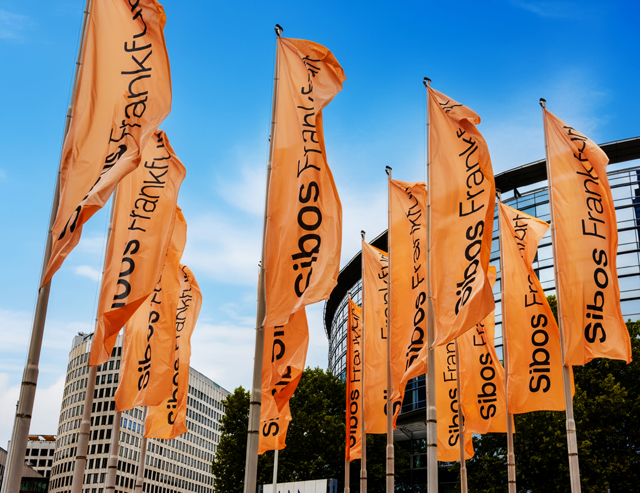 Flags at Sibos event